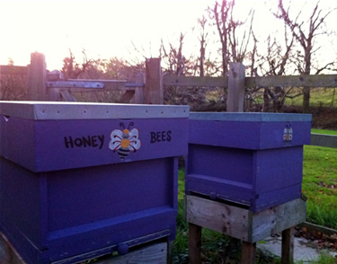 building and construction in Hertfordshire
