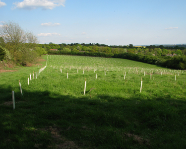 building and construction in Hertfordshire